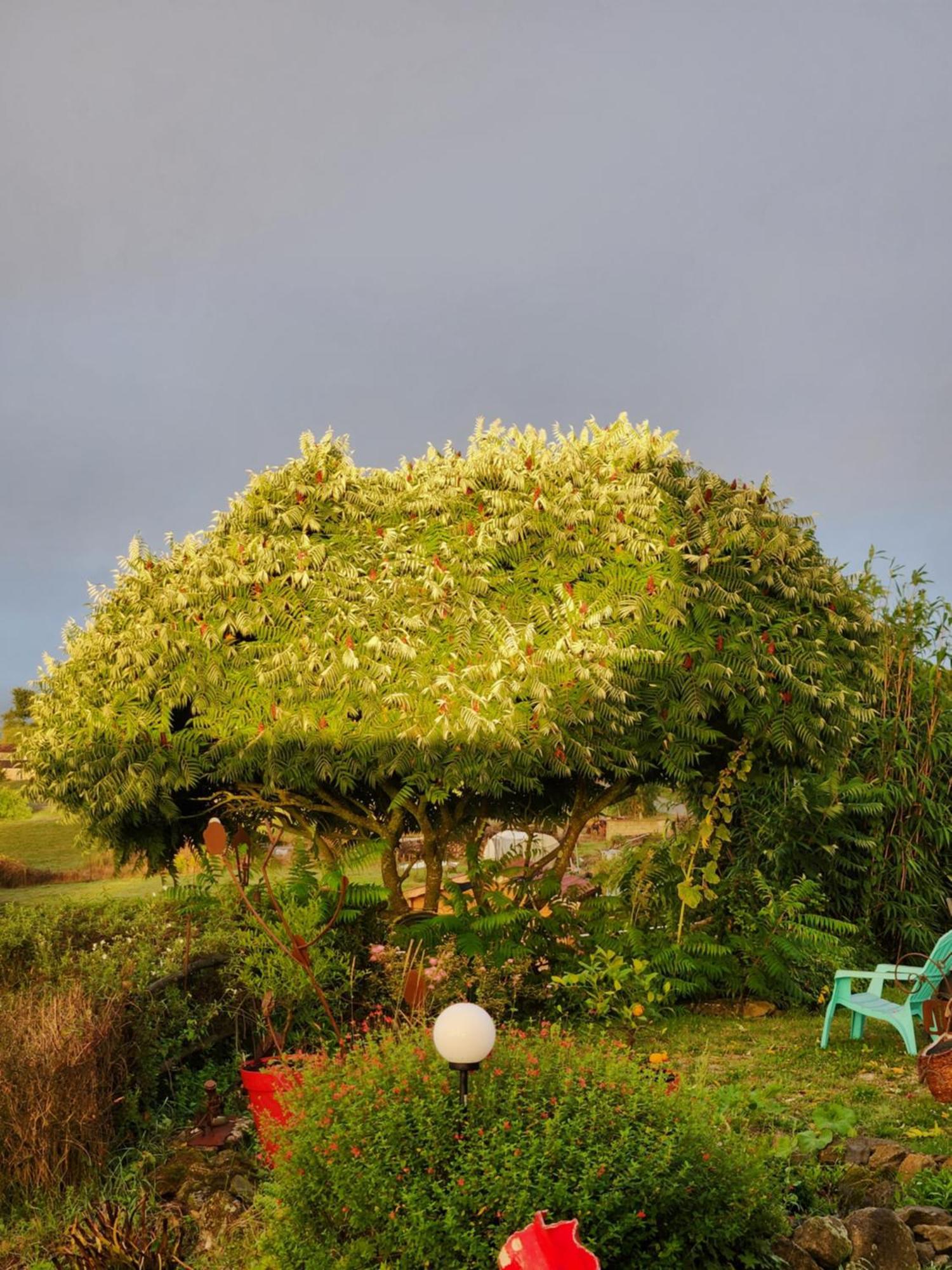 Les De La Forge Des Collines Bed & Breakfast