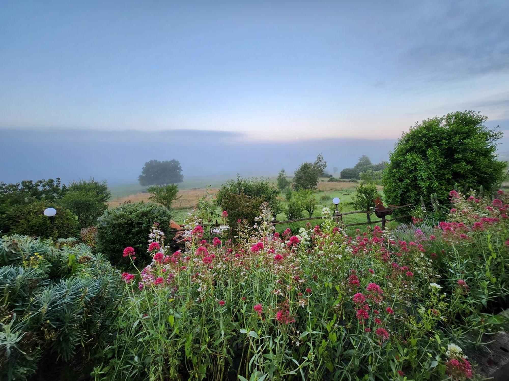 Bed & Breakfast Les De La Forge Des Collines