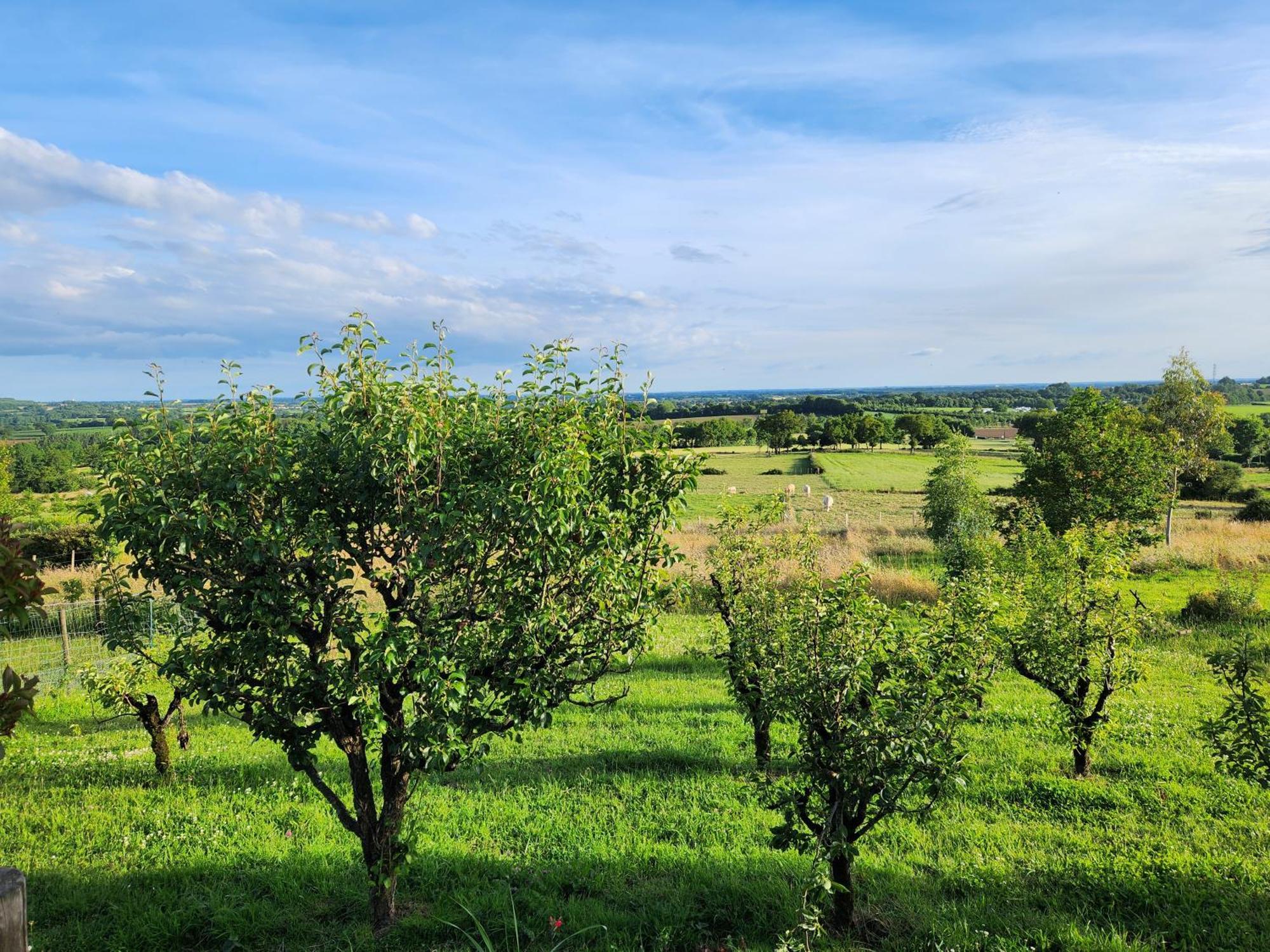 Bed & Breakfast Les De La Forge Des Collines Les Herbiers