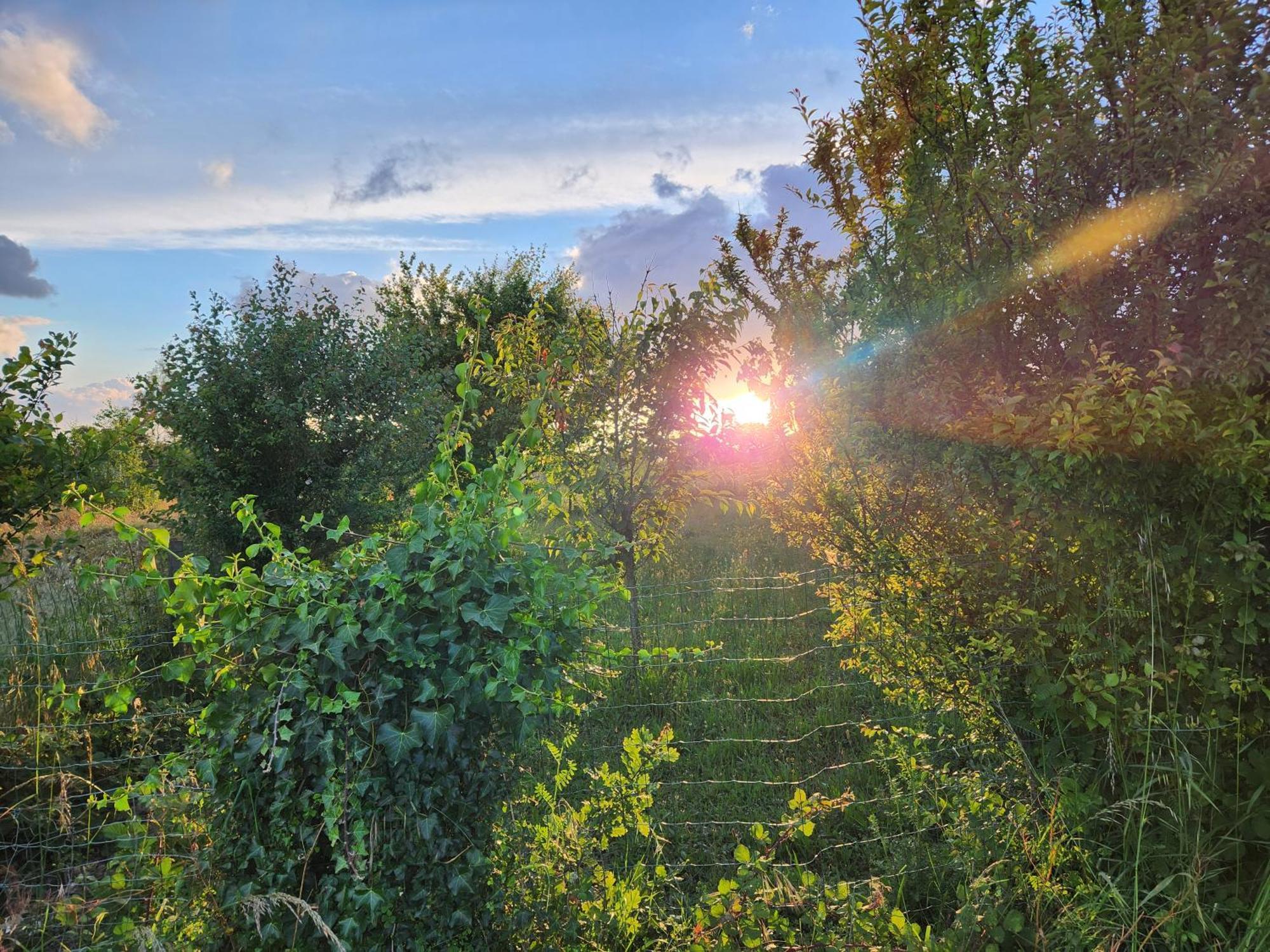 Les De La Forge Des Collines Bed & Breakfast