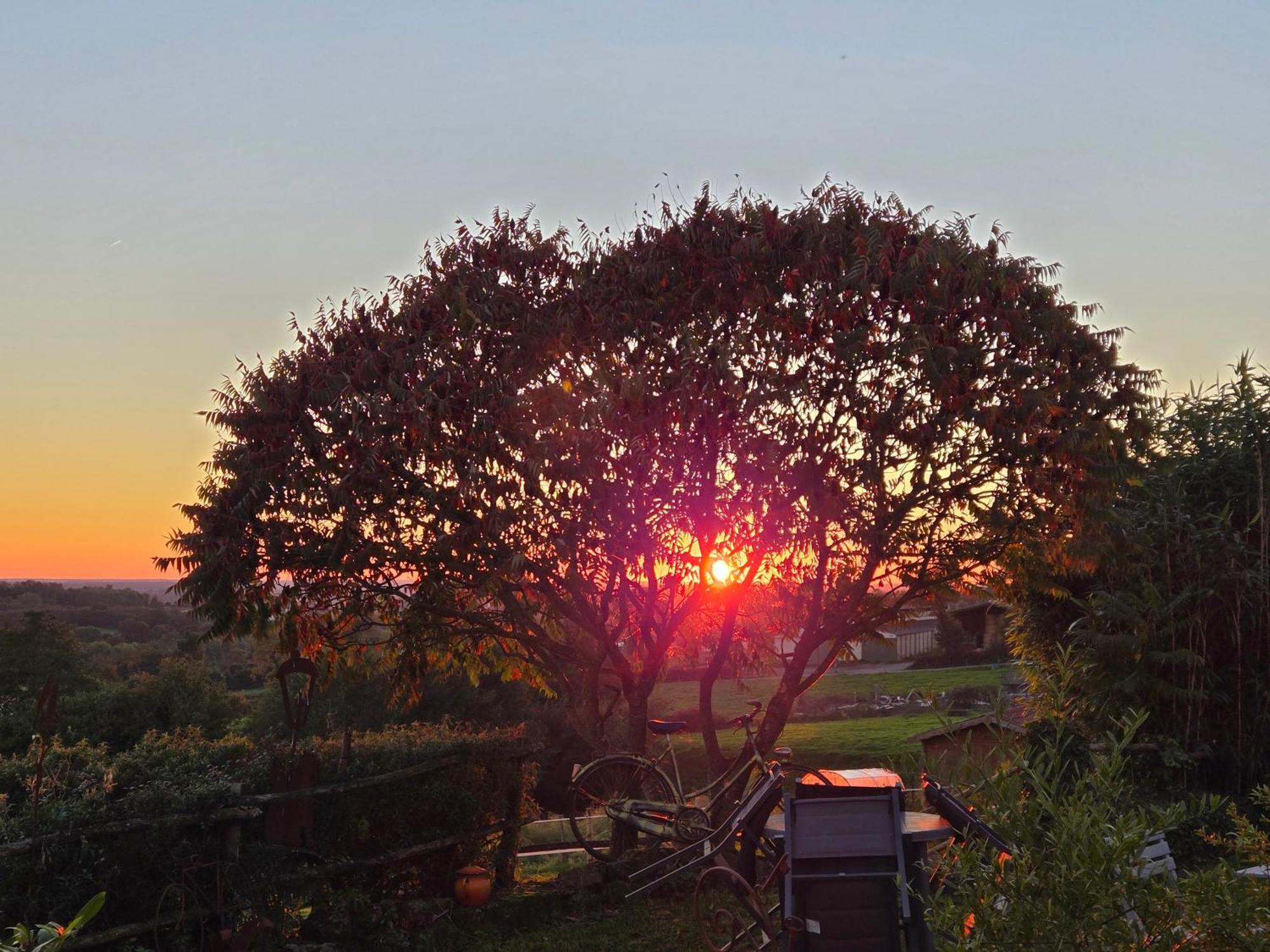 Les De La Forge Des Collines Bed & Breakfast