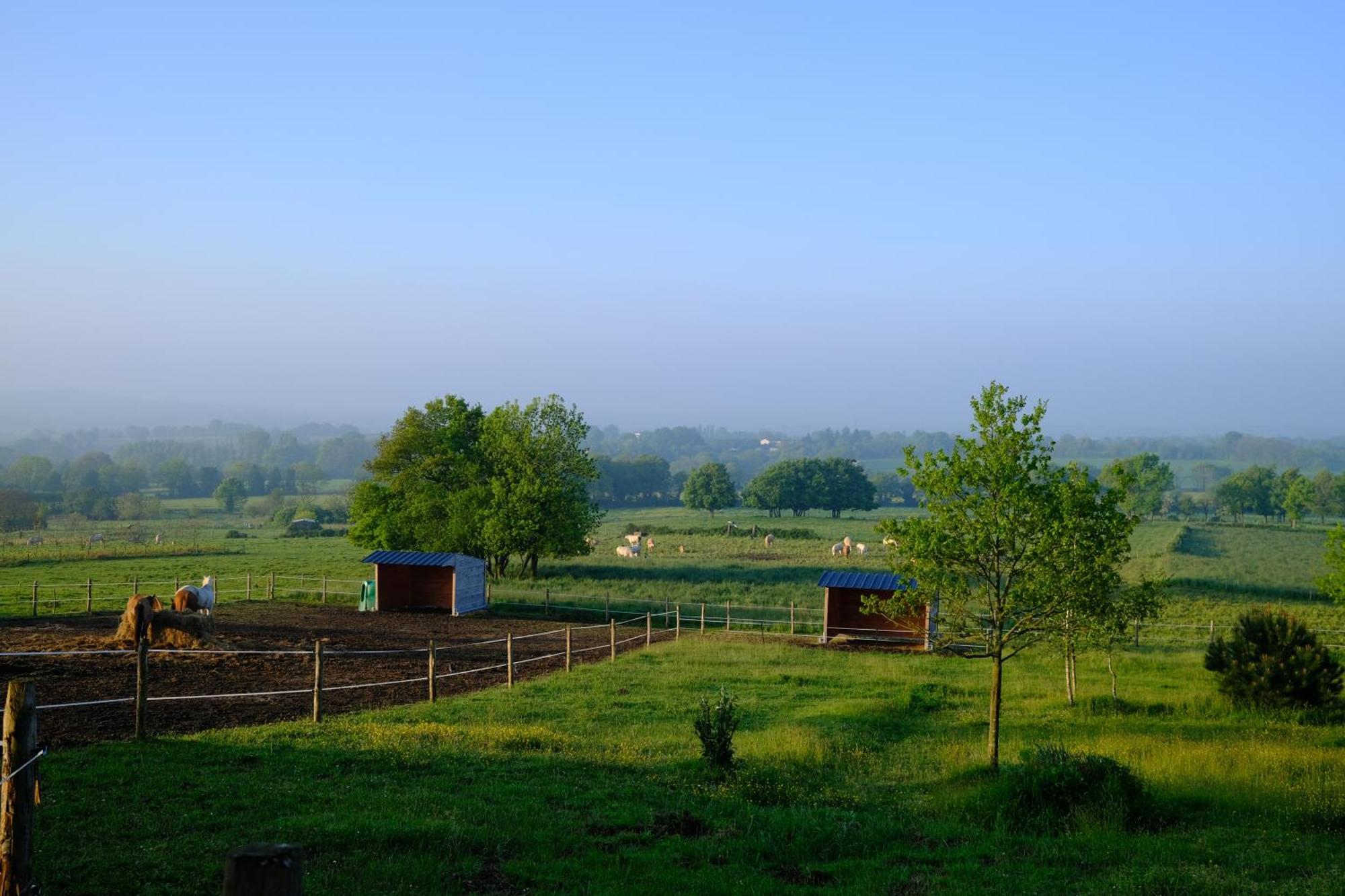 Bed & Breakfast Les De La Forge Des Collines Les Herbiers