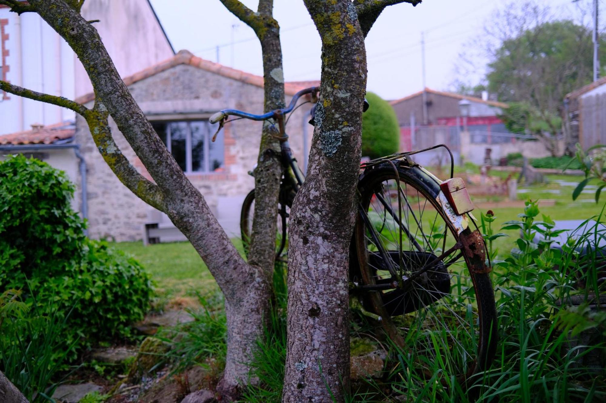 Les De La Forge Des Collines * Les Herbiers