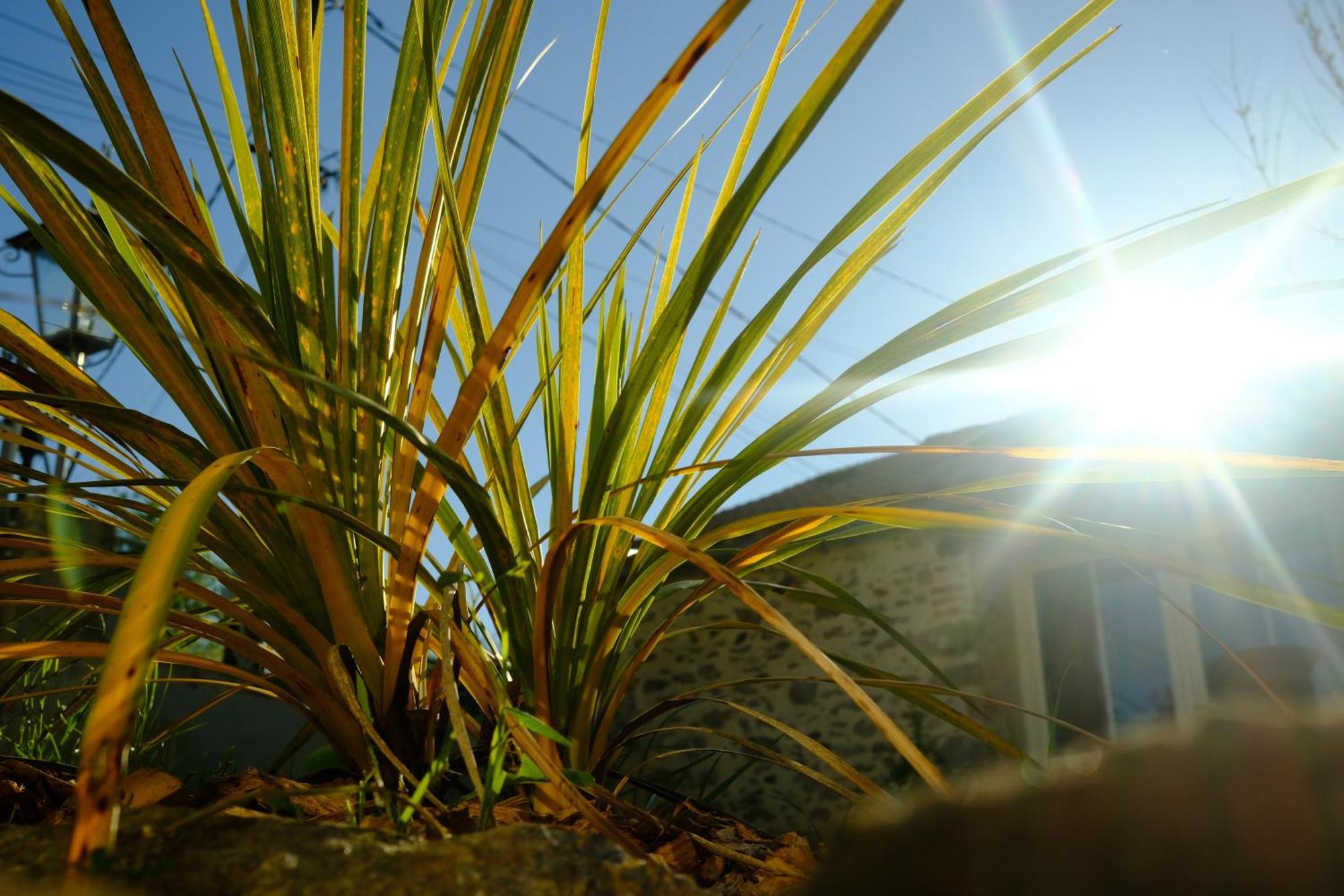 Les De La Forge Des Collines Bed & Breakfast