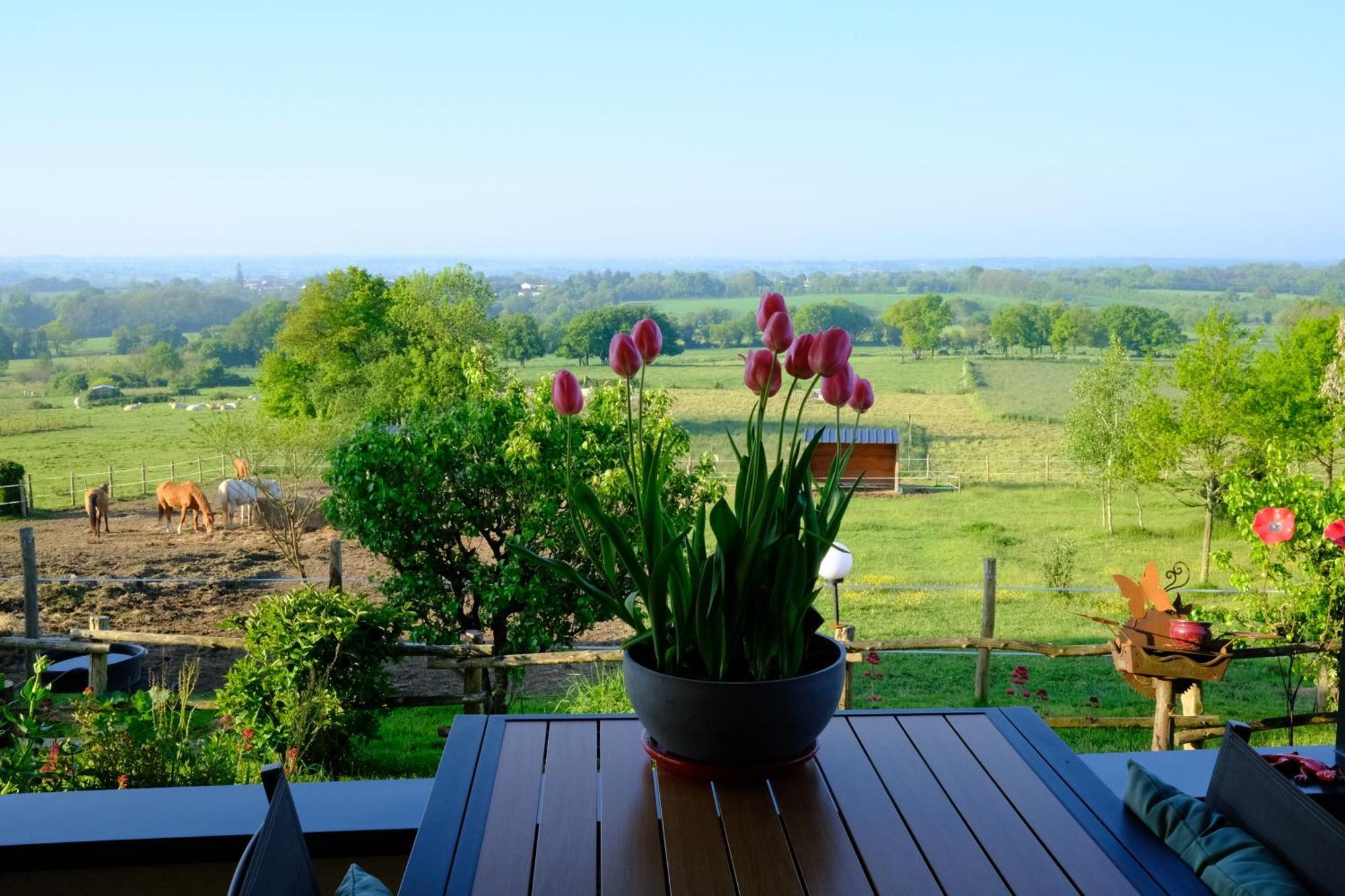 Bed & Breakfast Les De La Forge Des Collines *