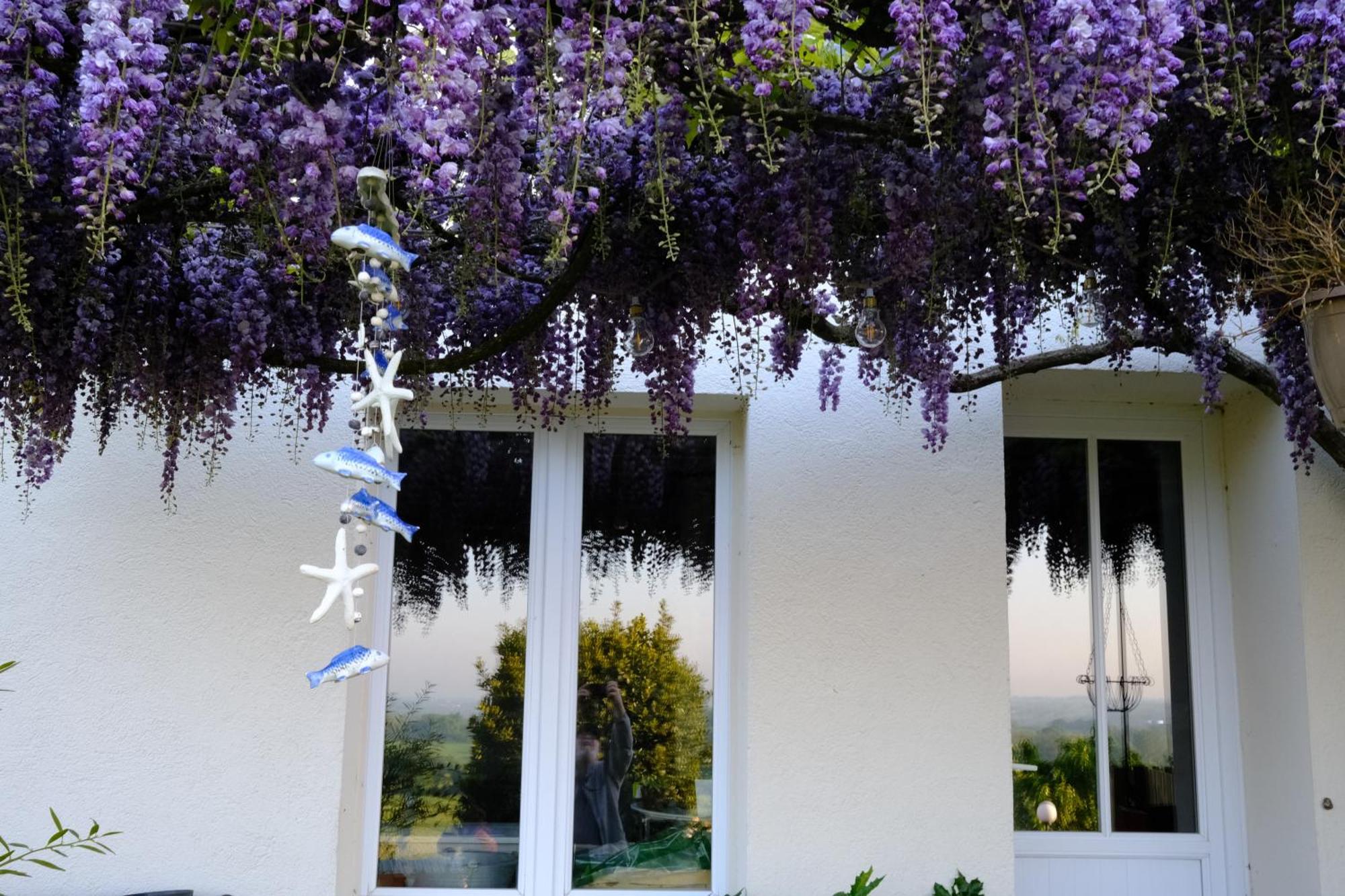 Les De La Forge Des Collines Bed & Breakfast Les Herbiers