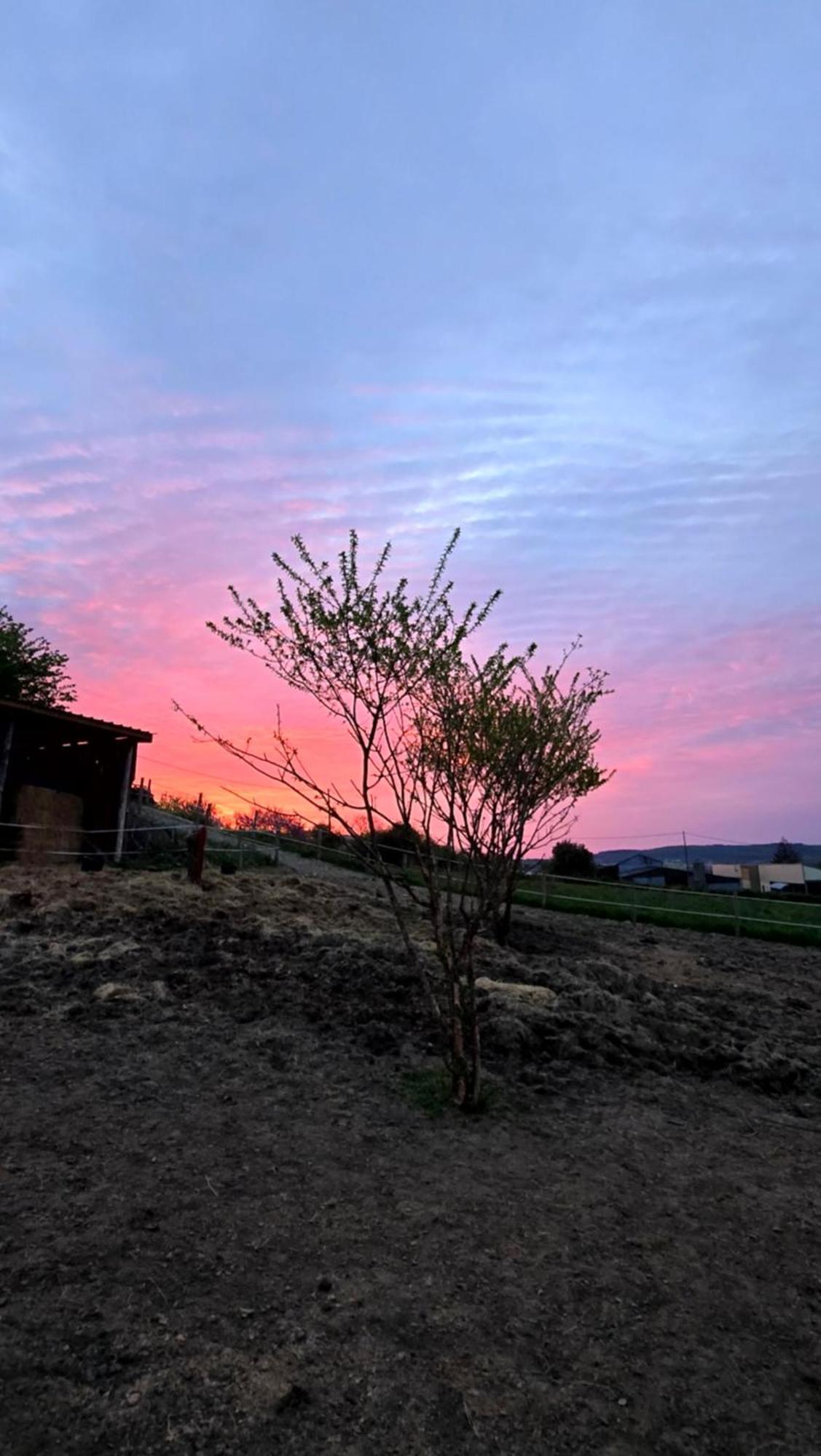 Bed & Breakfast Les De La Forge Des Collines *